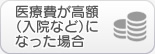 医療費が高額になった場合